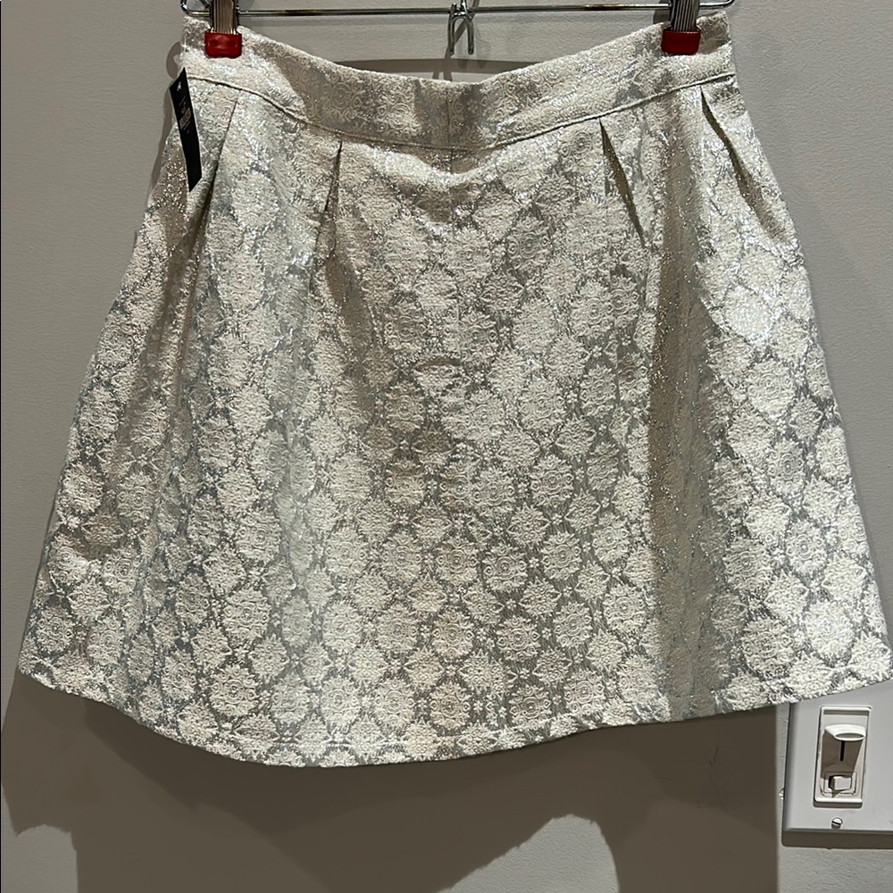 NWT Elegant Cream & Silver Skirt
